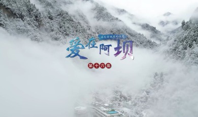 【Love in Aba】Episode 16: Joy Awakened in Frostbound Vastness_fororder_16